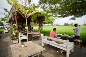Pemandangan sawah dari Nook Umalas